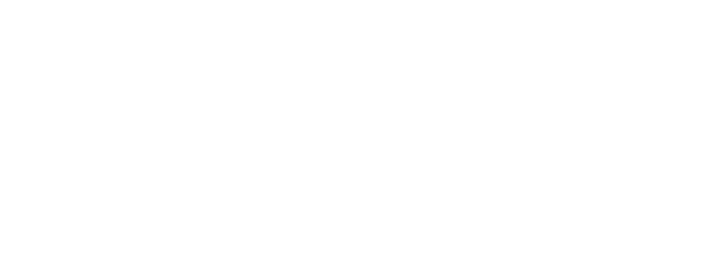 FSE – Fabricante de Soluciones Empresariales